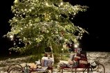 Bescherung unterm Weihnachtsbaum
