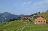 Aussicht auf Hangspitze mit Kühen auf der Weide
