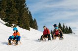 Naturrodelbahn © Benjamin Schlachter - Bregenzerwald Tourismus 