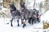 Pferdekutschenfahrt © Emanuel Sutterlüty - Bezau Tourismus