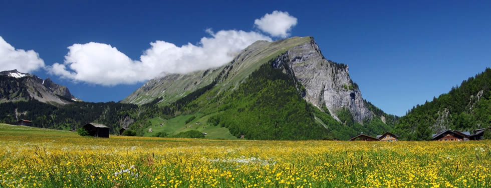 http://www.berghuette-bregenzerwald.at/uploads/images/bild_8.jpg